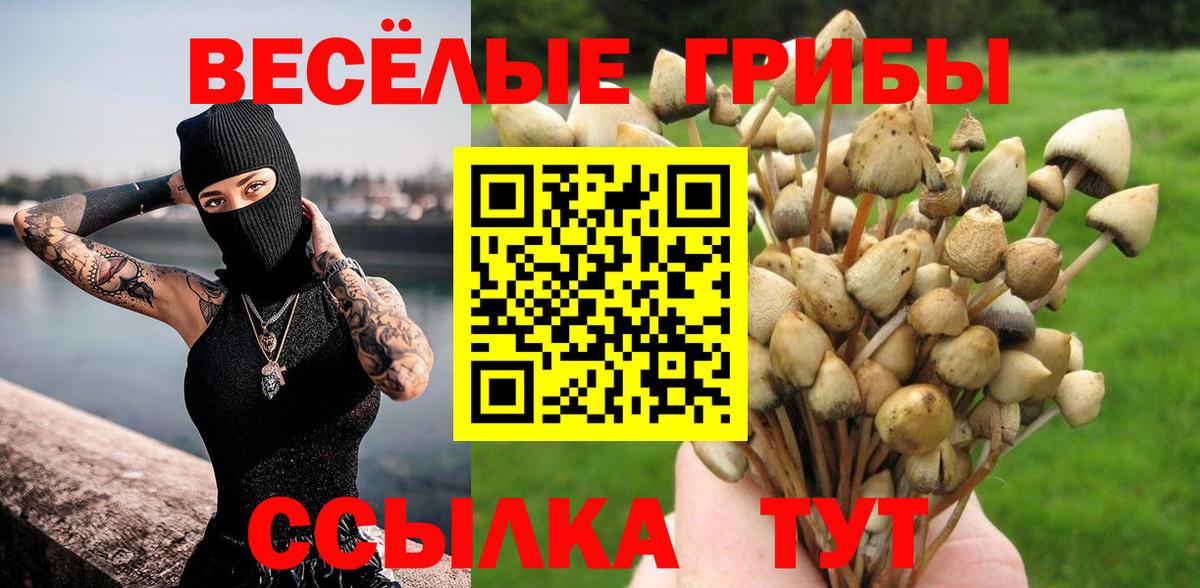 Малоярославец  Галлюциногенные грибы Psilocybine cubensis  Вход с VPN 