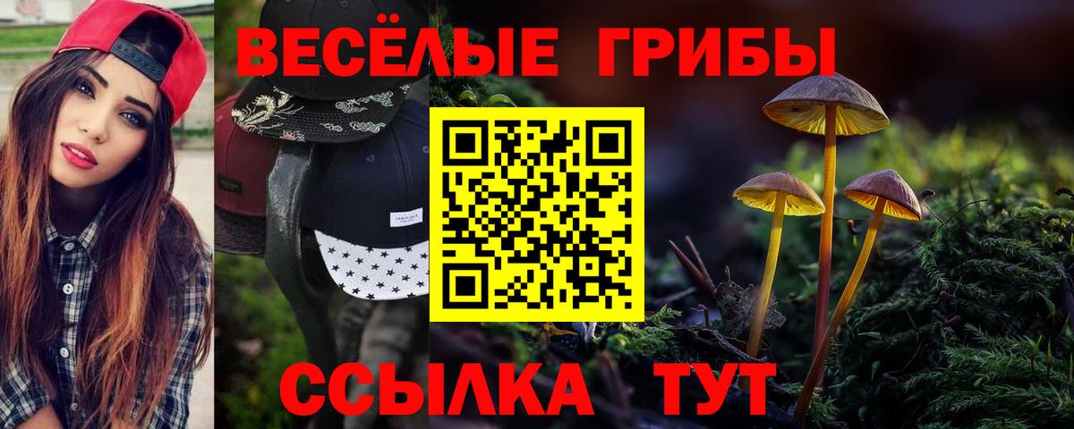Галлюциногенные грибы Magic Shrooms Малоярославец